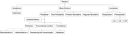 Organograma